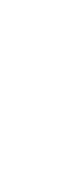 bra20
