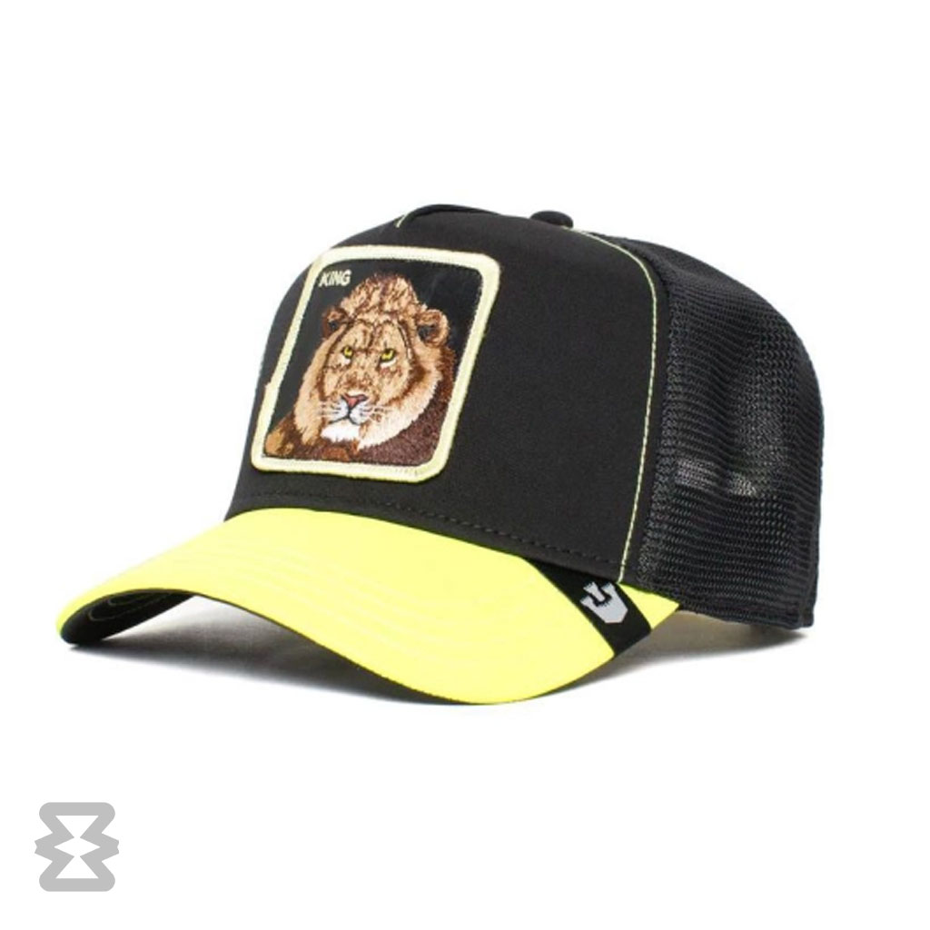 کلاه گورین مدل Everything the Light Touches