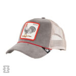 کلاه گورین مدل THE ARENA