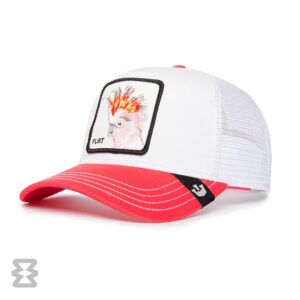 کلاه گورین مدل The Flirty Bird