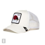 کلاه گورین مدل The Lady Bug IVO