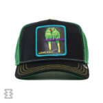 کلاه گورین مدل Twitterpated