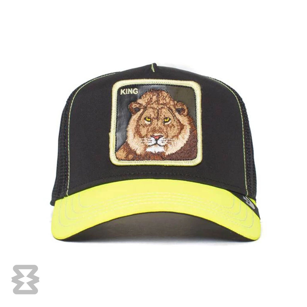 کلاه گورین مدل Everything the Light Touches