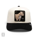 کلاه گورین مدل The Suede Pitbull CRE