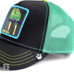 کلاه گورین مدل Twitterpated