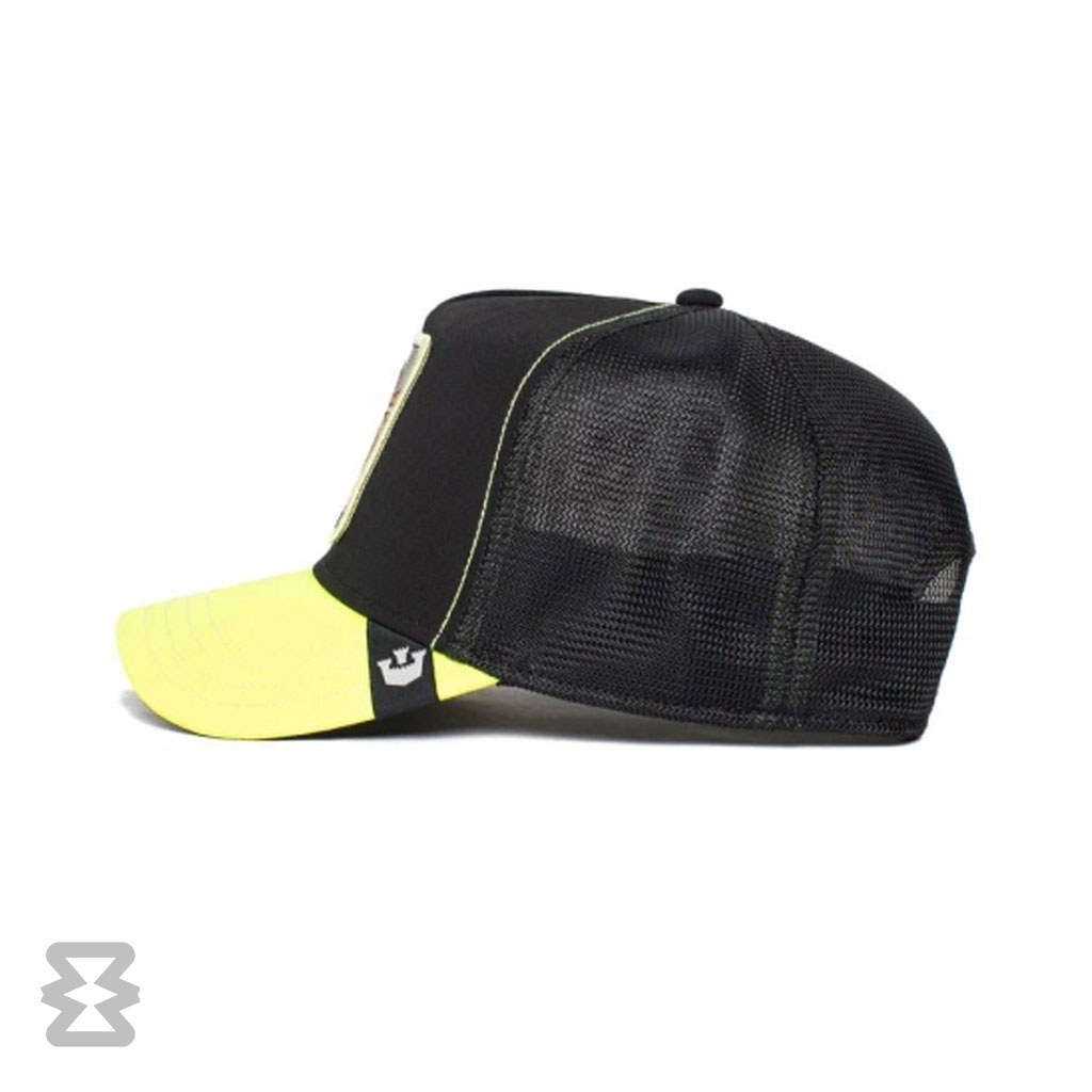 کلاه گورین مدل Everything the Light Touches