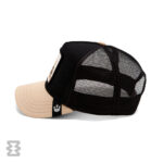 کلاه گورین مدل The Amigo Black