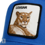 کلاه گورین مدل The Cougar