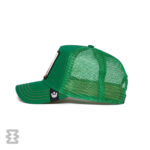 کلاه گورین مدل The Giraffe