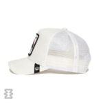 کلاه گورین مدل The Lady Bug IVO