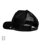 کلاه گورین مدل The Sabertooth Tiger