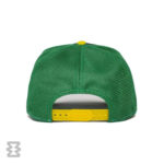 کلاه گورین مدل Twitterpated