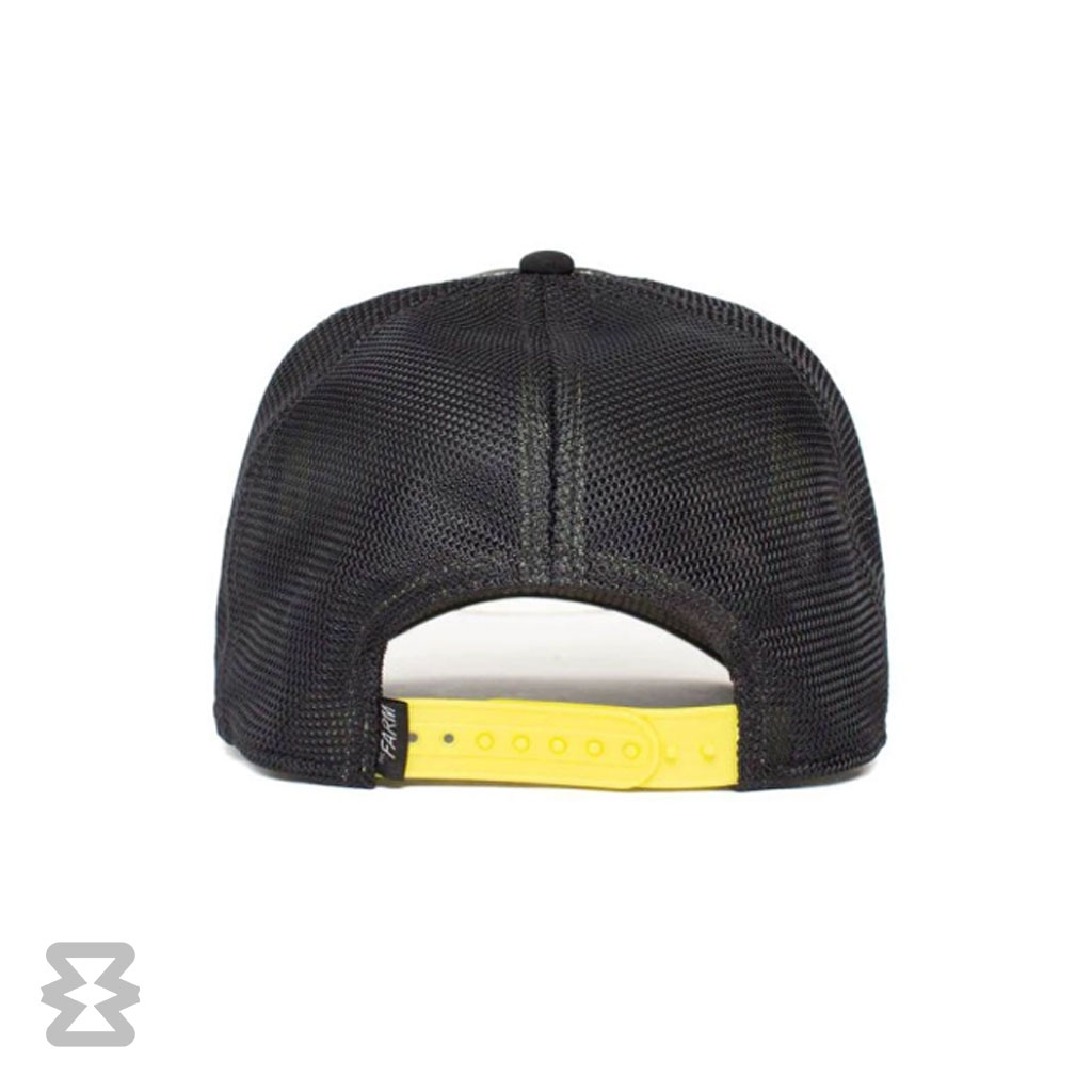 کلاه گورین مدل Everything the Light Touches