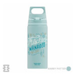 قمقمه سیگ مدل WMB ONE 600