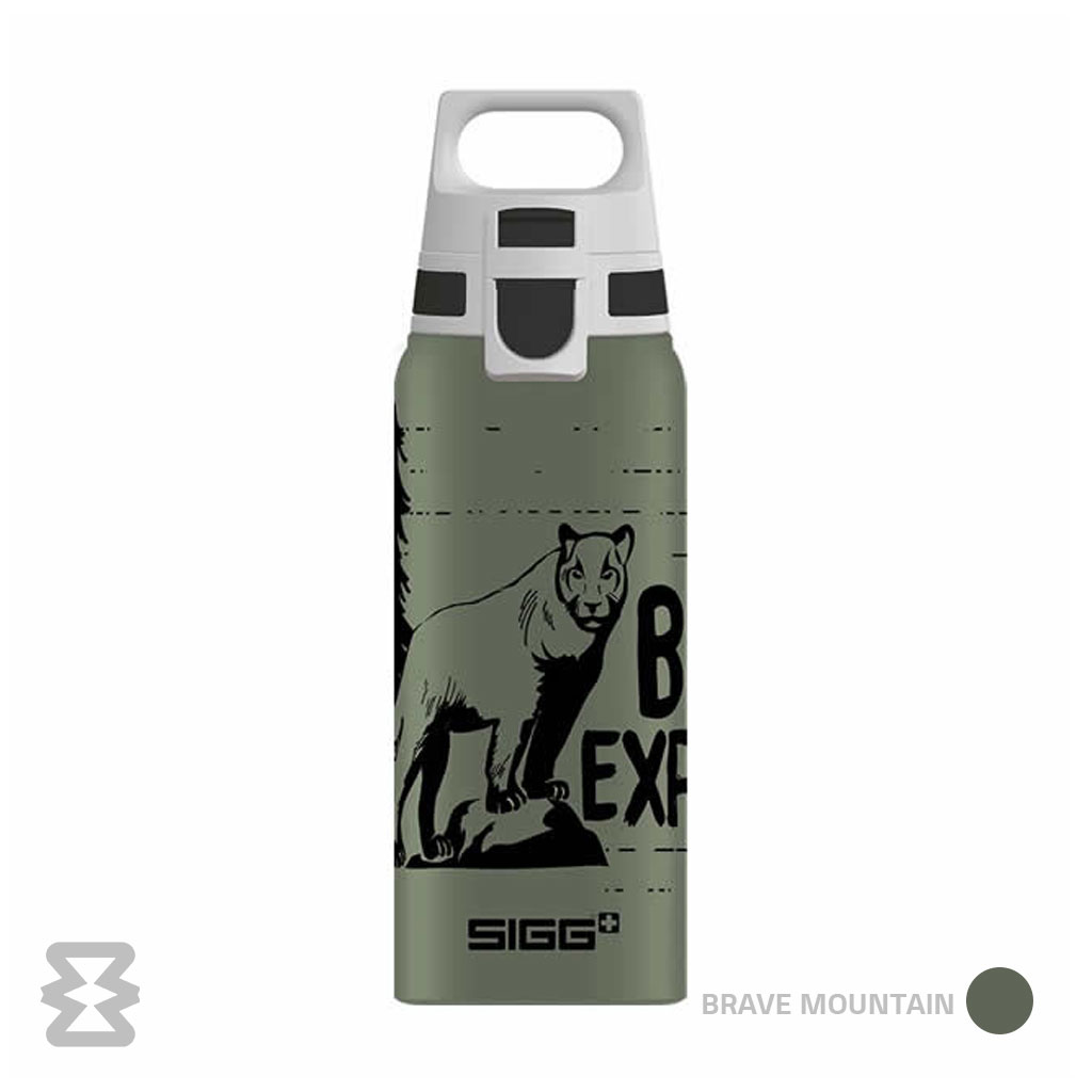 قمقمه سیگ مدل WMB One Brave 600