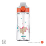 قمقمه سیگ مدل Kids Bottle Miracle 450