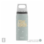 قمقمه سیگ مدل WMB ONE 600