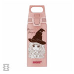 قمقمه سیگ مدل WMB ONE 600