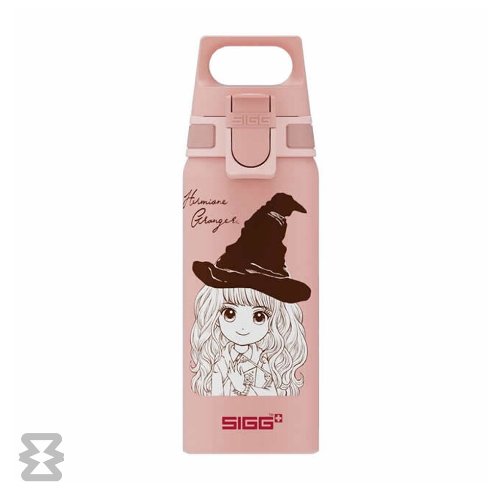 قمقمه سیگ مدل WMB ONE 600