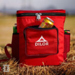 کول باکس دیلور مدل CHILL PACK