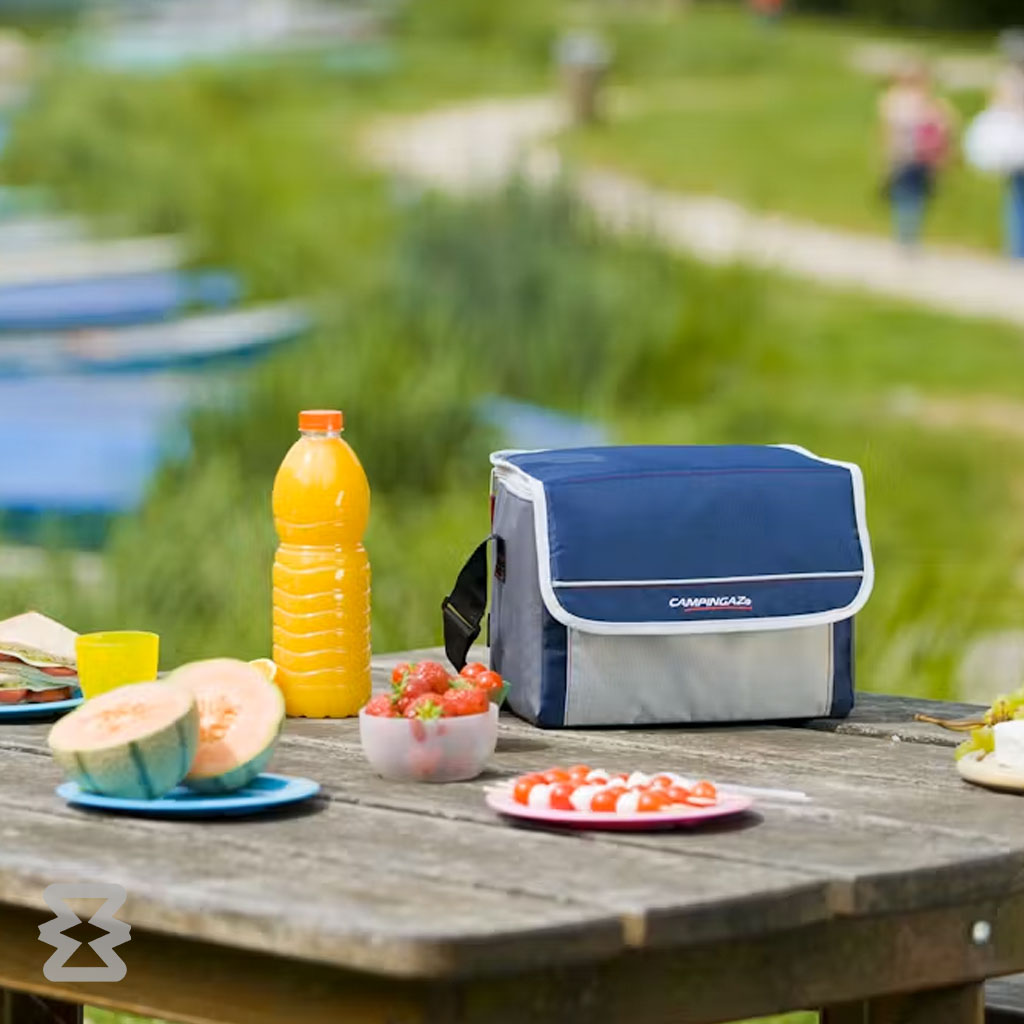 کیف غذای کمپینگاز مدل Fold’N Cool سایز 10 لیتر