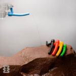 آفتابک سفری هپی کمپ کد 46819